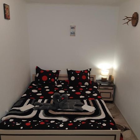 Florin Apartament Сигишоара Экстерьер фото