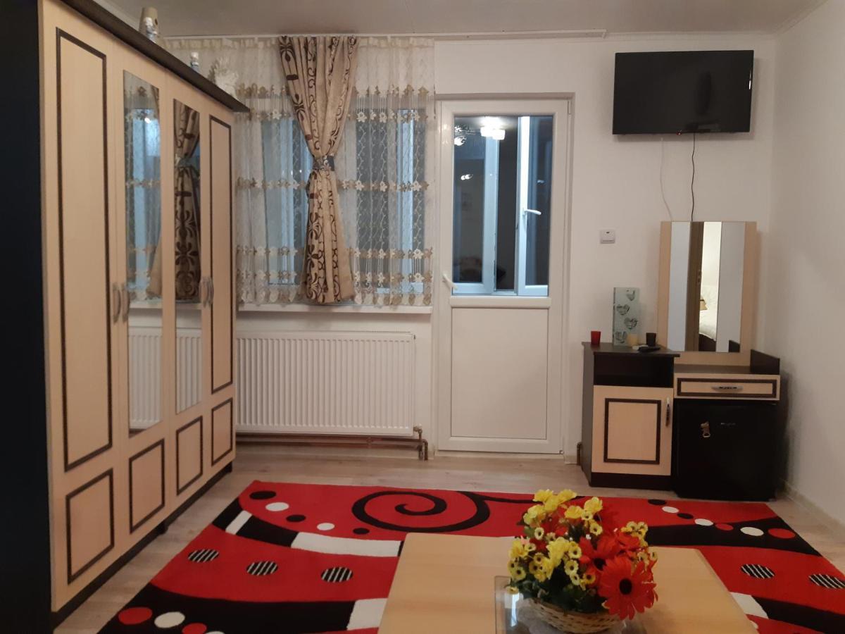 Florin Apartament Сигишоара Экстерьер фото