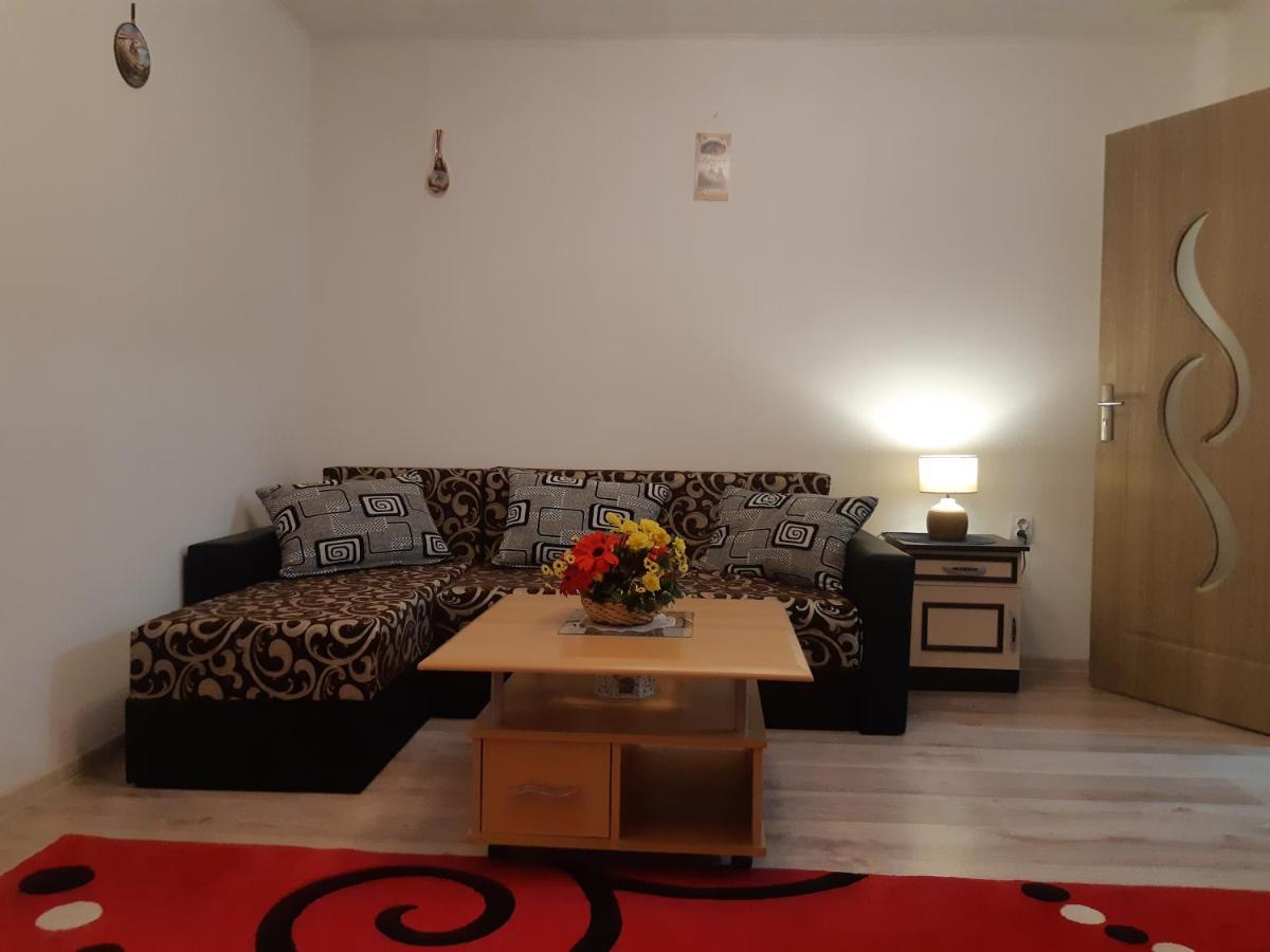 Florin Apartament Сигишоара Экстерьер фото