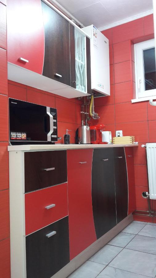 Florin Apartament Сигишоара Экстерьер фото