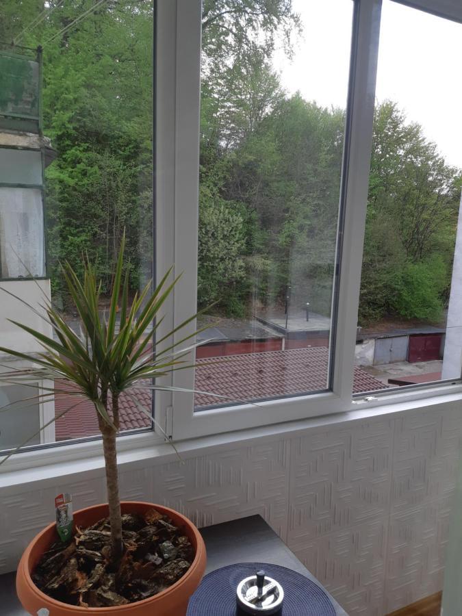 Florin Apartament Сигишоара Экстерьер фото