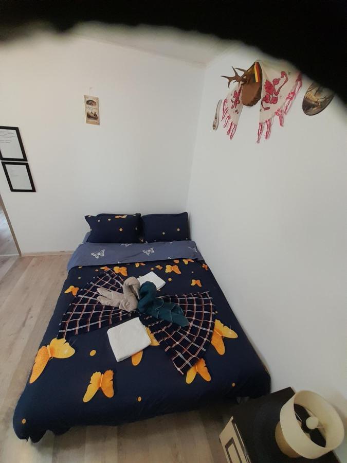 Florin Apartament Сигишоара Экстерьер фото