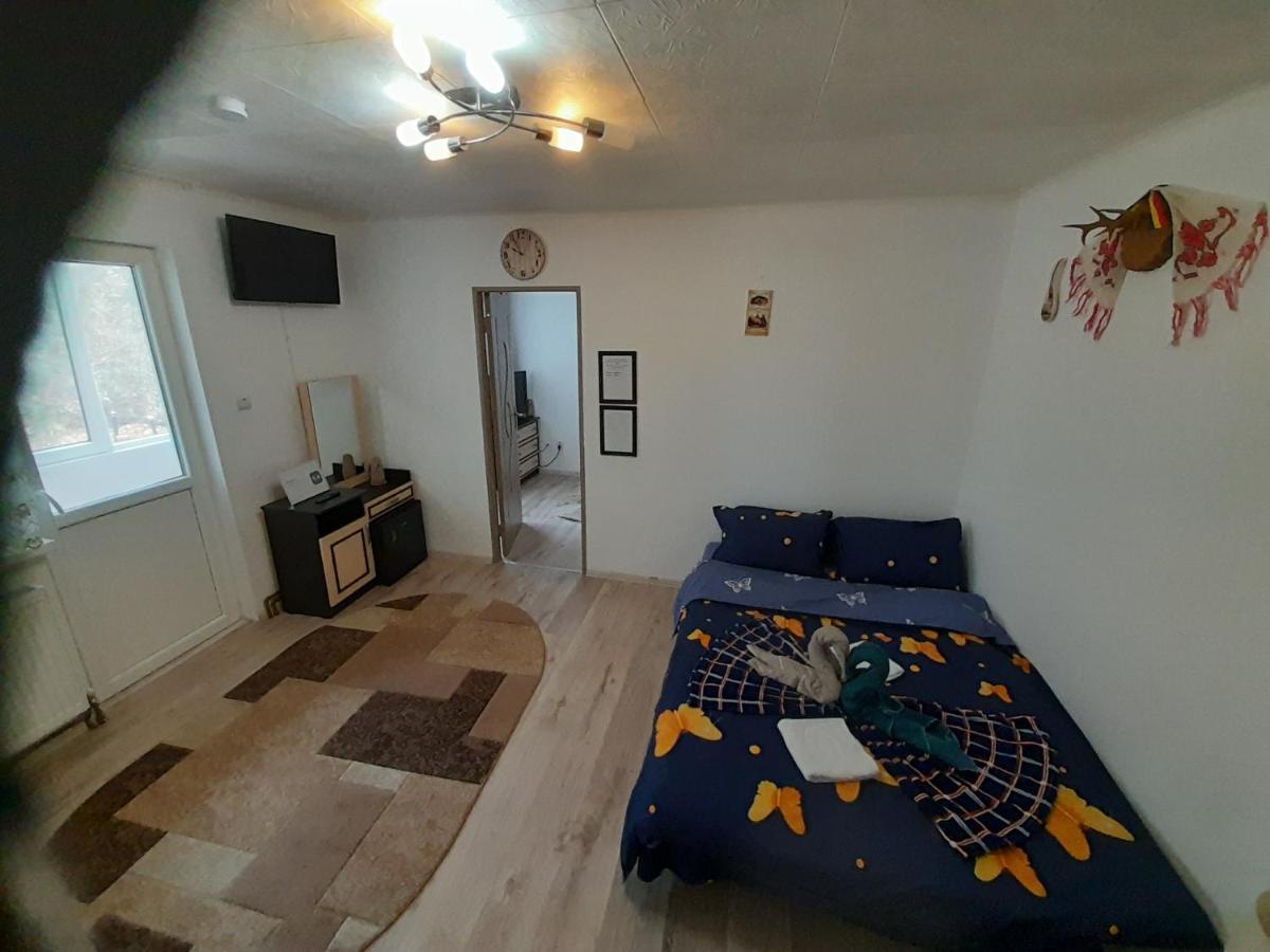 Florin Apartament Сигишоара Экстерьер фото